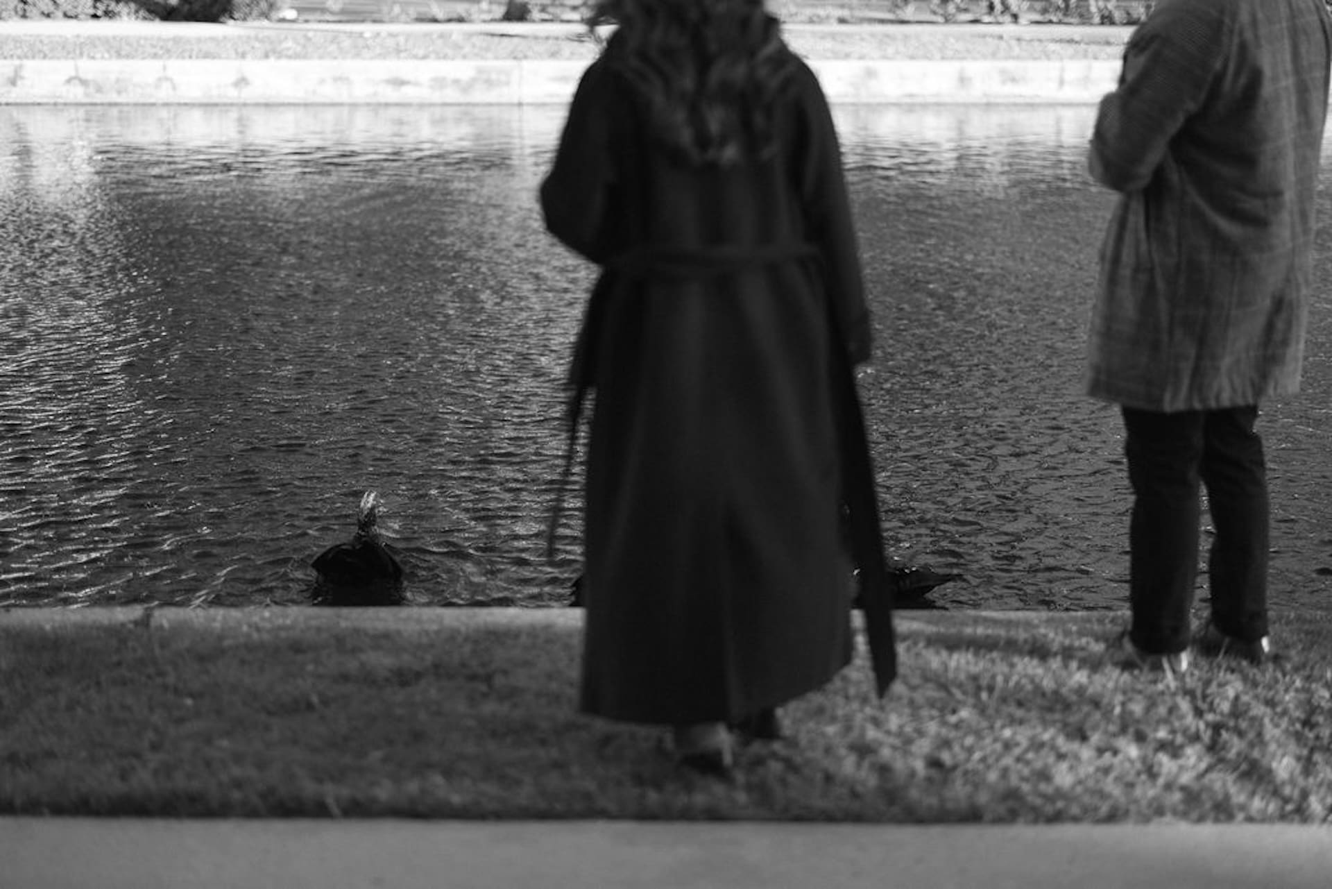 Black and white photo of a couple standing on the edge of a river with ducks swimming by
