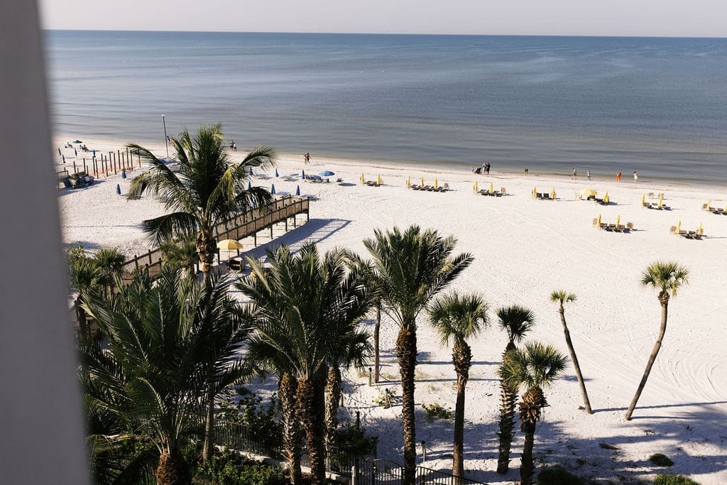 An Intimate Destination Elopement in Florida with Family, Courthouse Vows, and Beach Portraits