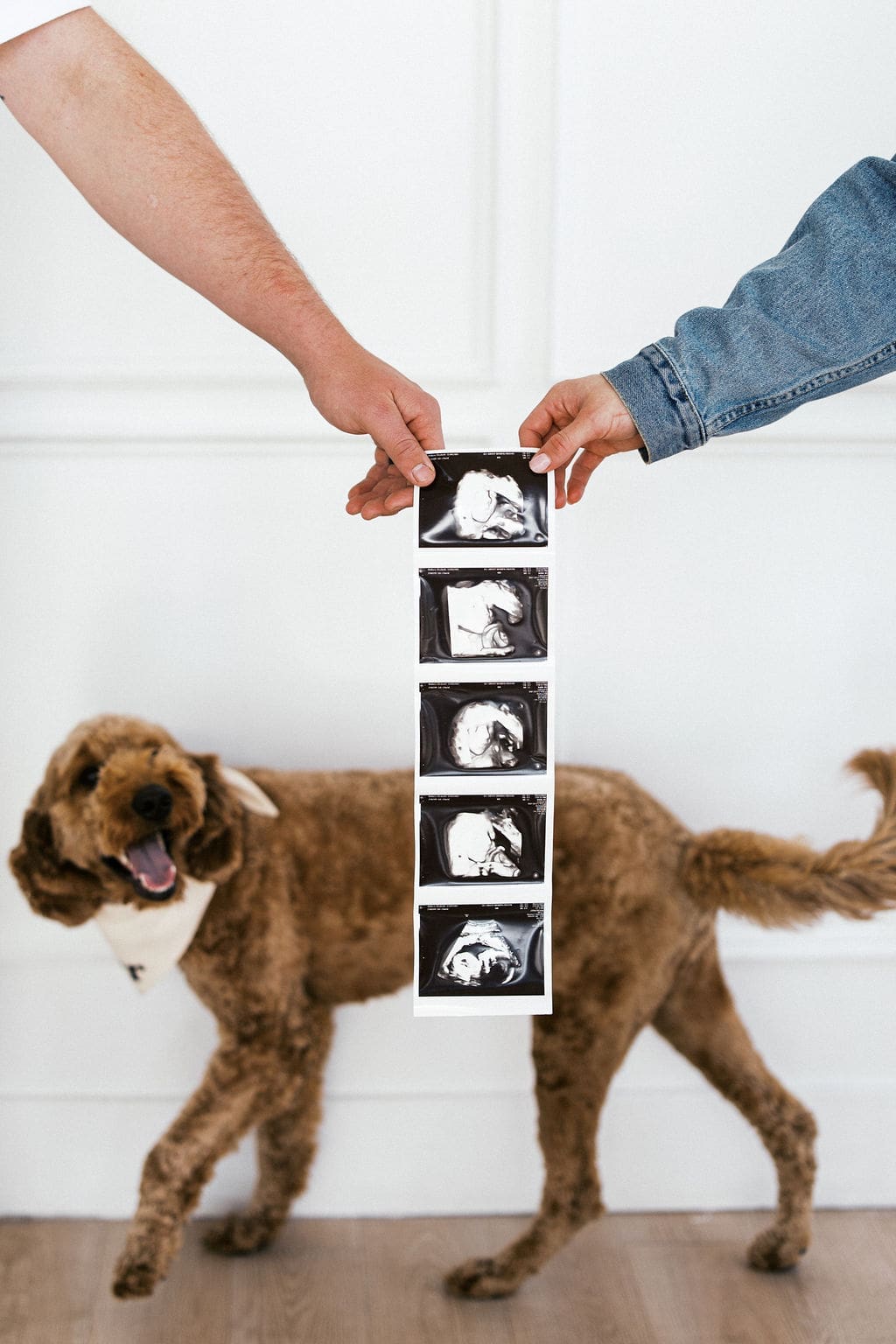 Documentary Style Studio Maternity Photos at The Lumen Room in Austin