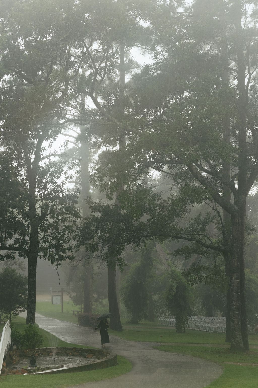 A detail wedding photo of a guest walking down the driveway with an umbrella as it pours around the trees.
