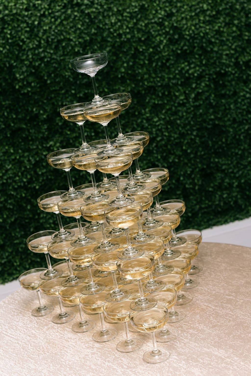 A champagne tower of coupe glasses stacked in a pyramid shape against a lush green boxwood hedge wall at Boxwood Manor.
