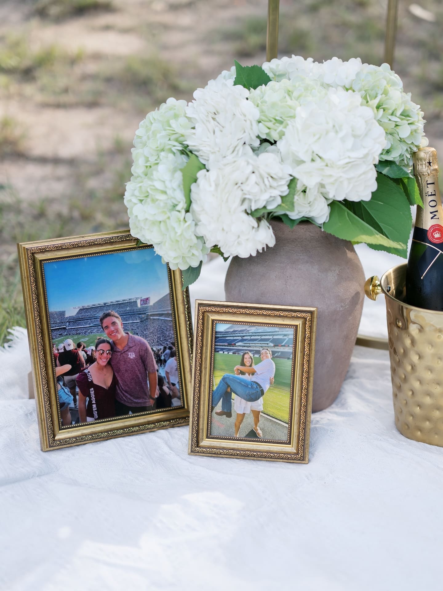 Surprise Engagement Proposal Ideas featuring framed couple photos, hydrangeas, and champagne on a picnic blanket.