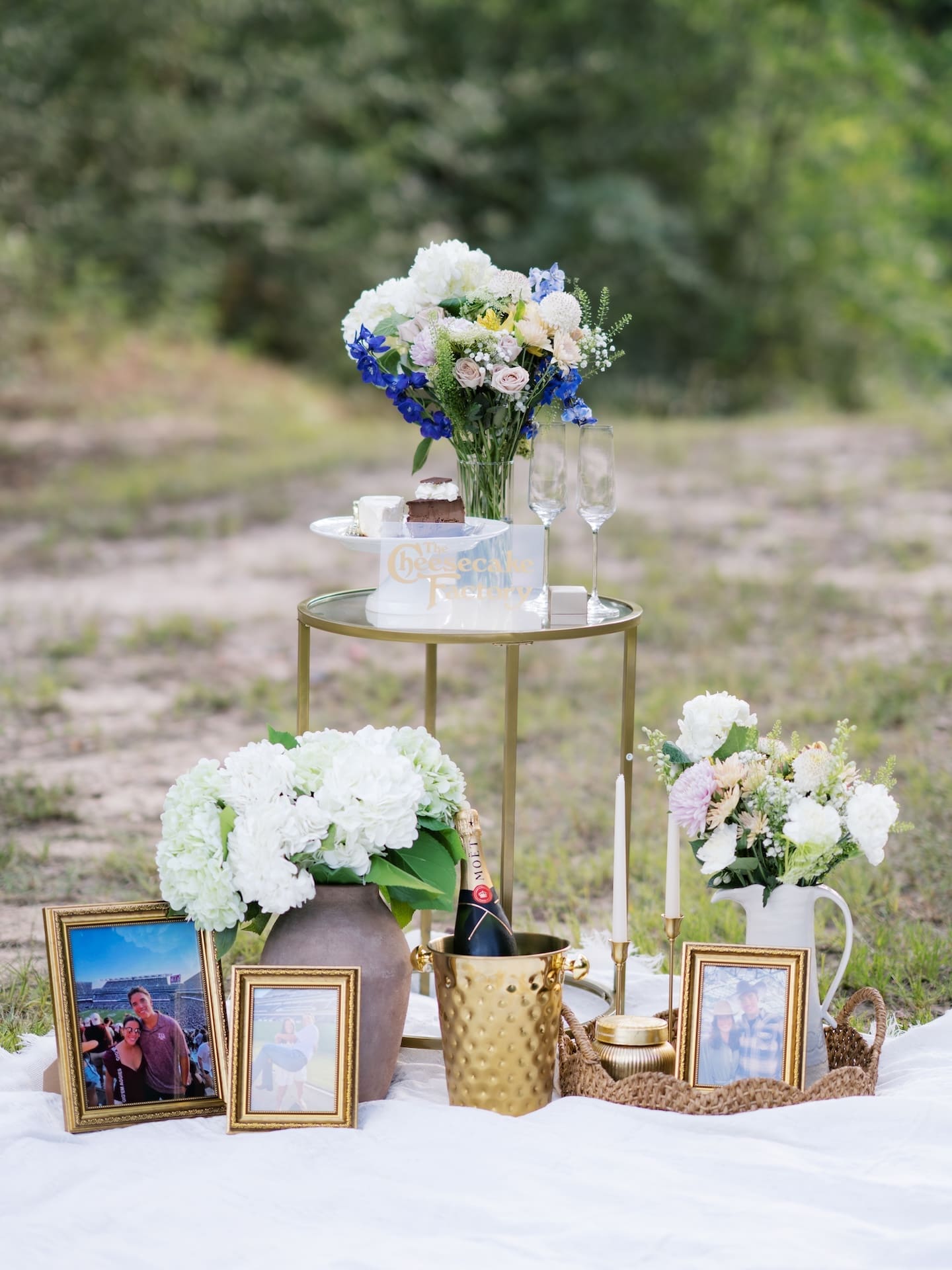 Elegant picnic table setup with flowers, champagne, and framed couple photos for a proposal.