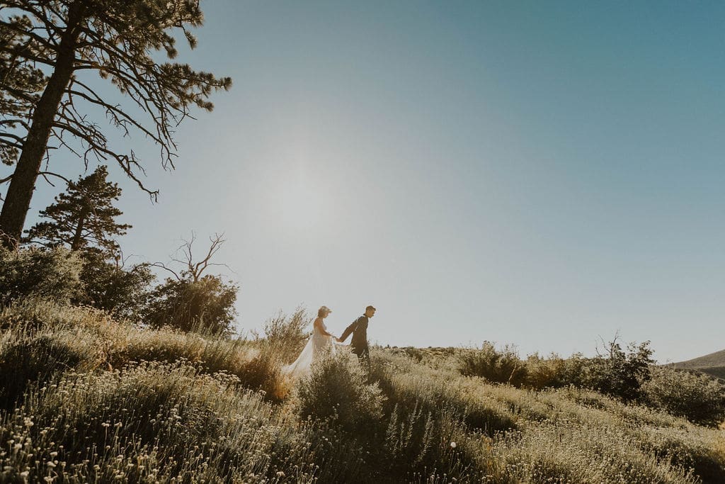 Wide shot of the newlyweds walking hand in hand through a sunlit meadow, tall grass and pines framing the scene.